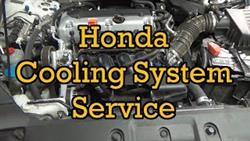 Honda Antifreeze Replacement

