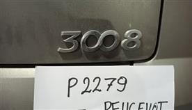 P306a   3008