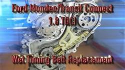 Replacement Timing Belt For Ford Torneo Connect
